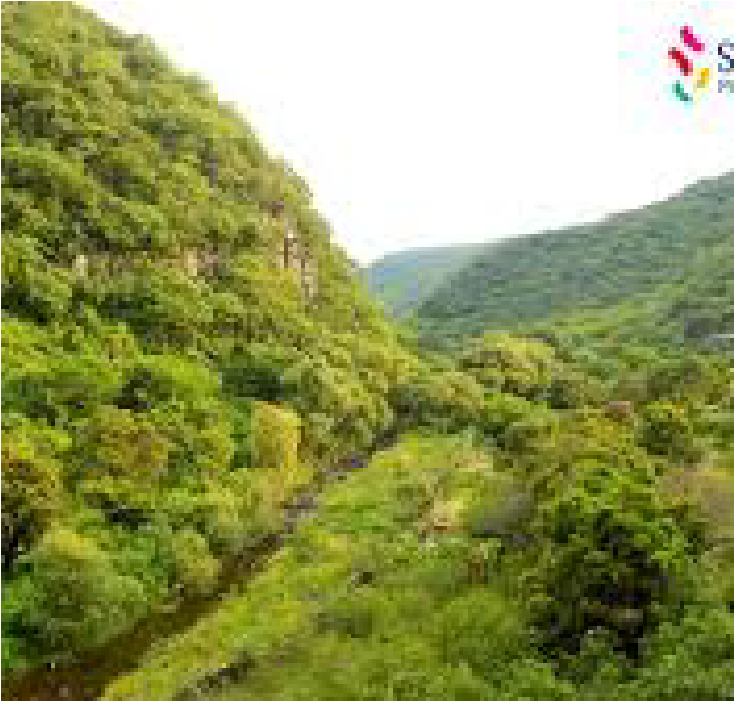 Circuito de las Barrancas y Ruta del Mezcal Sahuayo Michoacán